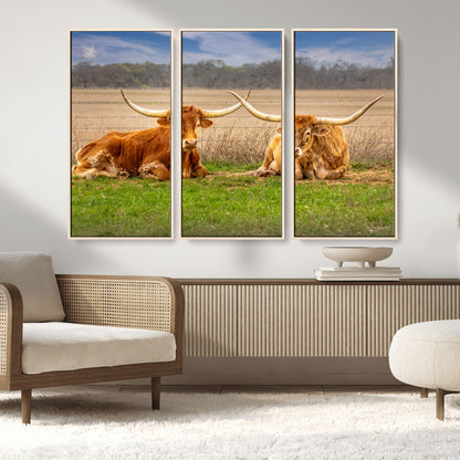 54598515-MGV-FC-48X32-3P_Natural-Texas Longhorns Wall Art – Rustic Cattle Ranch Canvas Print, Western Farmhouse Animal Photography Decor for Living Room, Office,