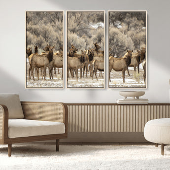 93076148-MGV-FC-48X32-3P_Natural-Elk Herd Wall Art – Wildlife Canvas Print of Elk in Winter Landscape, Rustic Western Cabin & Lodge Décor, Nature Photography for
