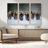 30332489-MGV-CV-36X24-Winter Bison Herd Wall Art – Powerful Buffalo Canvas Print, Rustic Wildlife Photography Decor for Farmhouse, Cabin, Lodge, Living