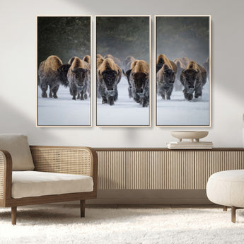 30332489-MGV-CV-36X24-Winter Bison Herd Wall Art – Powerful Buffalo Canvas Print, Rustic Wildlife Photography Decor for Farmhouse, Cabin, Lodge, Living