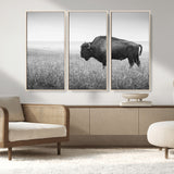 90861202-MGV-CV-36X24-Black and White Bison Canvas Wall Art – Rustic American Buffalo Print, Western Wildlife Photography for Farmhouse, Cabin, Office