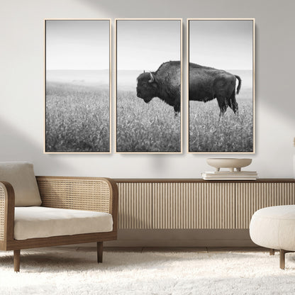 90861202-MGV-CV-36X24-Black and White Bison Canvas Wall Art – Rustic American Buffalo Print, Western Wildlife Photography for Farmhouse, Cabin, Office