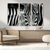 43631-MGV-FC-48X32-3P_Natural-Black and White Zebra Wall Art – Modern Animal Print Canvas Artwork for Living Room, Bedroom, or Office Decor