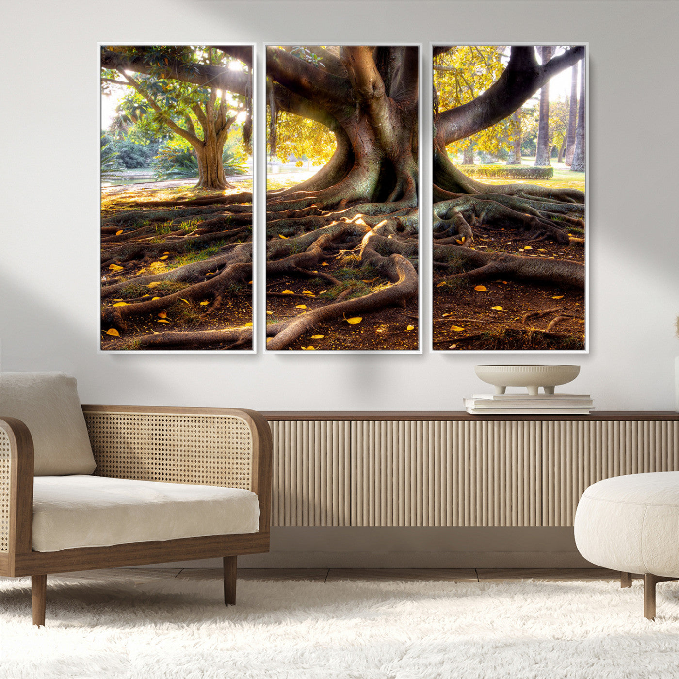 53335-MGV-FC-48X32-3P_White-Majestic Tree with Sprawling Roots Wall Art – Serene Sunlit Park Scene, Nature Canvas Print, Perfect for Living Room, Office or