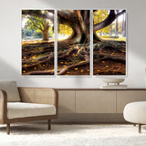53335-MGV-FC-48X32-3P_White-Majestic Tree with Sprawling Roots Wall Art – Serene Sunlit Park Scene, Nature Canvas Print, Perfect for Living Room, Office or