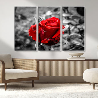 84671-MGV-FC-48X32-3P_White-Red Rose Wall Art – Vibrant Single Bloom Canvas Print with Black and White Background, Elegant Floral Decor for Living Room,