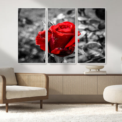 84671-MGV-FC-48X32-3P_White-Red Rose Wall Art – Vibrant Single Bloom Canvas Print with Black and White Background, Elegant Floral Decor for Living Room,