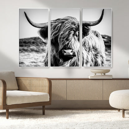 36979-MGV-FC-48X32-3P_White-Striking black-and-white portrait of a Highland cow with flowing fur and majestic horns, perfect for rustic and elegant home or