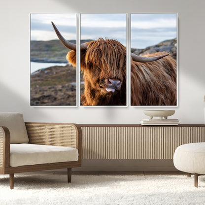 71222-MGV-CV-36X24-A playful Highland cow with shaggy fur sticks out its tongue, set against a rugged landscape — perfect for quirky home or office