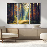 86249-MGV-CV-36X24-Sunlit Autumn Forest Path Wall Art – Peaceful Nature Scene with Fall Foliage, Calming Woods Decor for Home or Office