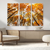 11823-MGV-FC-48X32-3P_White-Golden Autumn Tree Canopy Wall Art – Stunning Fall Forest Leaves Print, Warm Seasonal Nature Decor for Home, Office or Cabin