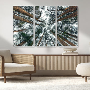 18790-MGV-CV-36X24-Pine Canopy Wall Art – Panoramic View of Towering Pines Canvas Print, Nature-Inspired Decor for Office, Cabin or Living Room