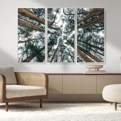 18790-MGV-CV-36X24-Pine Canopy Wall Art – Panoramic View of Towering Pines Canvas Print, Nature-Inspired Decor for Office, Cabin or Living Room