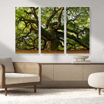29407-MGV-CV-36X24-Ancient Oak Tree Wall Art – Majestic Nature Canvas Print, Large Tree Photography Decor for Living Room or Office