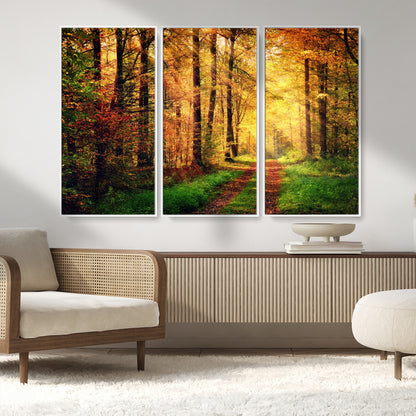 73494-MGV-CV-36X24-Golden Autumn Forest Path Wall Art – Sunlit Woodland Canvas Print, Fall Nature Landscape Home Decoration
