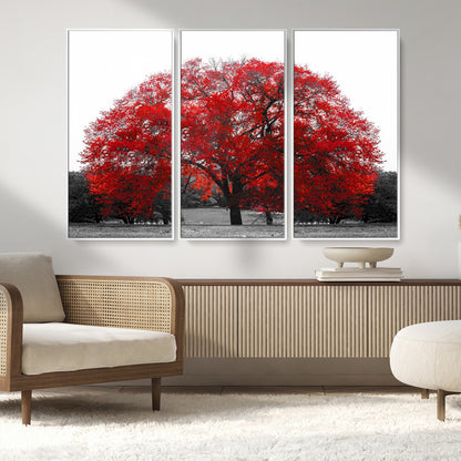 80021-MGV-CV-36X24-Red Tree Wall Art – Striking Black and White Landscape Canvas Print with Vibrant Red Leaves, Modern Nature Decor for Living Room