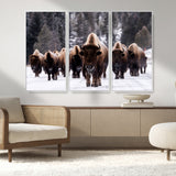 66871-MGV-FC-48X32-3P_White-Bison Herd Wall Art – Wildlife Buffalo Canvas Print, Rustic Western Nature Photography Decor for Living Room, Office, Cabin, or