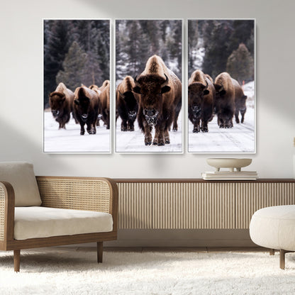 66871-MGV-FC-48X32-3P_White-Bison Herd Wall Art – Wildlife Buffalo Canvas Print, Rustic Western Nature Photography Decor for Living Room, Office, Cabin, or