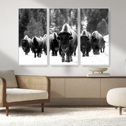 62434-MGV-FC-48X32-3P_White-Bison Herd Wall Art – Majestic Black and White Buffalo Canvas Print, Wildlife Nature Photography Decor for Living Room, Office or