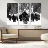 62434-MGV-CV-36X24-Bison Herd Wall Art – Majestic Black and White Buffalo Canvas Print, Wildlife Nature Photography Decor for Living Room, Office or