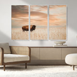 99699-MGV-CV-36X24-Bison in Prairie at Sunset – Wildlife Photography Print, American Buffalo Wall Art, Nature Landscape Canvas Decor for Office
