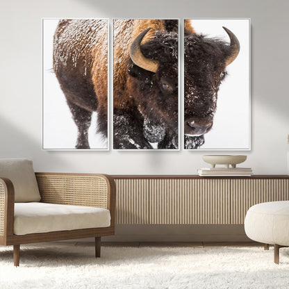 65605-MGV-CV-36X24-Snow Bison Wall Art – Close Up Buffalo Canvas Print, Rustic Western Wildlife Photography, Farmhouse Cabin Lodge Decor for Living