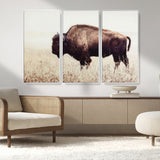 48406-MGV-CV-36X24-American Bison Wall Art – Rustic Buffalo Canvas Print in Prairie Field, Western Wildlife Photography Decor for Cabin, Lodge,