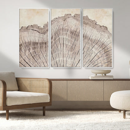 67528-MGV-FC-48X32-3P_White-Wood Ring Wall Art Canvas Print, Framed Tree Ring Art Picture Print, Rustic Tree Ring Perfect Neutral Boho Decor Artwork