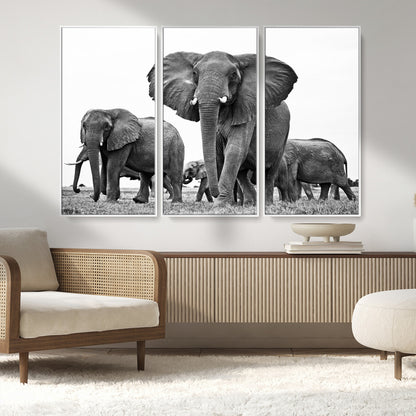 91685-MGV-CV-36X24-Elephant Herd Wall Art – Black and White Safari Canvas Print, African Wildlife Photography Decor for Living Room, Office or