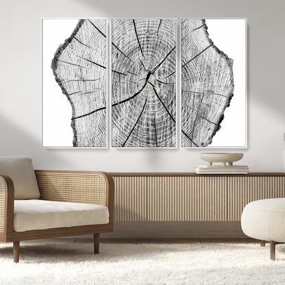 98709-MGV-CV-36X24-Tree Ring Wall Art – Black and White Canvas Print Rustic Wood Cross Section, Minimal Nature Inspired Decor for Living Room,