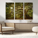 57983-MGV-CV-36X24-Angel Oak Tree Wall Art Canvas Print, Framed Oak Tree Art Picture Print, Angel Oak Perfect Rustic Nature Decor Artwork