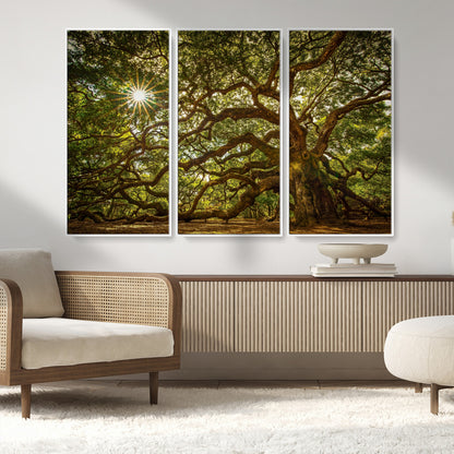 57983-MGV-CV-36X24-Angel Oak Tree Wall Art Canvas Print, Framed Oak Tree Art Picture Print, Angel Oak Perfect Rustic Nature Decor Artwork