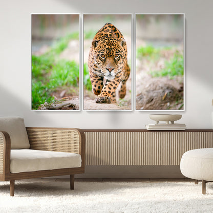 75066-MGV-CV-36X24-Leopard Wall Art Canvas Print, Framed Wild Animal Art Picture Print, Blue Eye Leopard Perfect Wild Minimal Decor Artwork