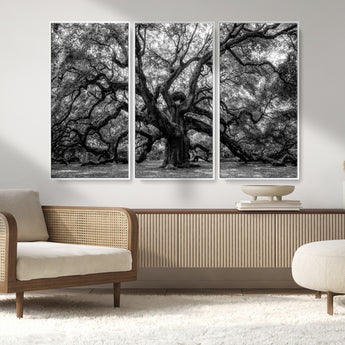 132944706-MGV-FC-48X32-3P_White-Ancient Tree Wall Art – Black and White Photography Canvas Print Featuring Majestic Twisting Branches, Rustic Nature Artwork for