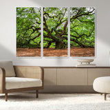 51255351-MGV-FC-48X32-3P_White-Ancient Tree Wall Art – Majestic Oak Canvas Print, Large Nature Photography, Sacred Forest Landscape Wall Décor, Wisdom Tree