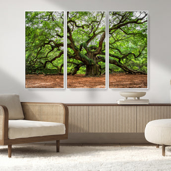 51255351-MGV-FC-48X32-3P_White-Ancient Tree Wall Art – Majestic Oak Canvas Print, Large Nature Photography, Sacred Forest Landscape Wall Décor, Wisdom Tree