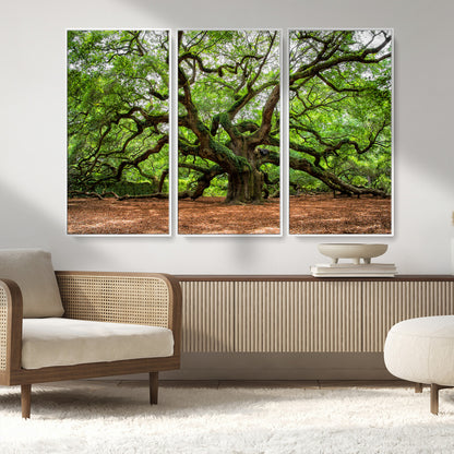51255351-MGV-FC-48X32-3P_White-Ancient Tree Wall Art – Majestic Oak Canvas Print, Large Nature Photography, Sacred Forest Landscape Wall Décor, Wisdom Tree