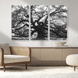 81655611-MGV-CV-36X24-Ancient Oak Wall Art Canvas Print, Framed Twisted Branches Art Picture Print, Gnarled Tree Perfect Moody Nature Decor Artwork