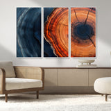 57732250-MGV-CV-36X24-Tree Ring Abstract Wall Art – Blue Orange Wood Grain Canvas Print, Modern Rustic Nature Artwork for Living Room, Office,