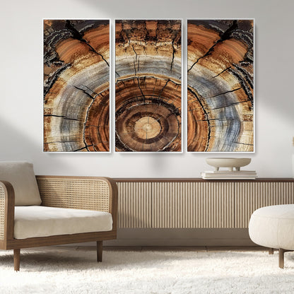 15184146-MGV-CV-36X24-Tree Rings Wall Art Canvas Print, Framed Wood Texture Art Picture Print, Rustic Pattern Perfect Rustic Organic Decor Artwork
