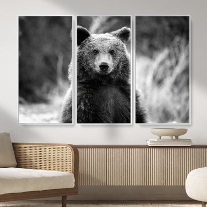MGV-FC-48X32-3P - Grizzly Bear Wall Art Canvas Print, Framed Black White Bear Art Picture Print, Wild Bear Perfect Rustic Wildlife Decor Artwork
