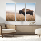 91267849-MGV-FC-48X32-3P_White-Wild Bison Wall Art Canvas Print, Framed Bison in Prairie Art Picture Print, Rustic Western Perfect Rustic Western Decor Artwork