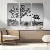 50975475-MGV-FC-48X32-3P_White-Joshua Tree Art Wall Art Canvas Print, Framed Desert Tree Print Art Picture Print, Black White Nature Perfect Southwestern Boho