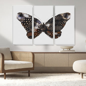 99831147-MGV-FC-48X32-3P_White-Spotted Butterfly Wall Art Canvas Print, Framed Neutral Insect Theme Art Picture Print, Earthy Wing Pattern Perfect Modern Rustic