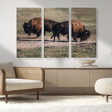 58141885-MGV-FC-48X32-3P_White-Bison Photography Wall Art Canvas Print, Framed Western Wildlife Art Picture Print, Modern Ranch Perfect Western Rustic Decor