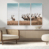 81594705-MGV-FC-48X32-3P_White-Elk Herd Wall Art Canvas Print, Framed Wildlife Photography Art Picture Print, Rustic Nature Print Perfect Rustic Wildlife Decor