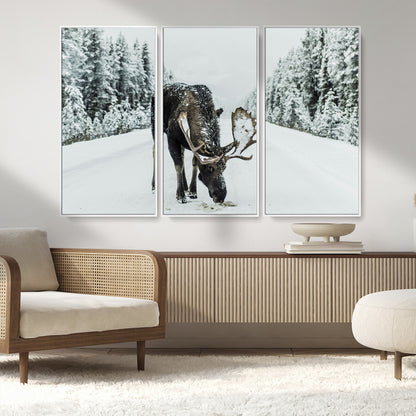 13316292-MGV-FC-48X32-3P_White-Moose in Snow Wall Art Canvas Print, Framed Winter Wildlife Art Picture Print, Snowy Forest Scene Perfect Rustic Lodge Decor