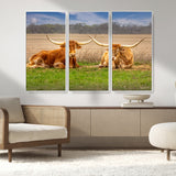 54598515-MGV-FC-48X32-3P_White-Texas Longhorns Wall Art – Rustic Cattle Ranch Canvas Print, Western Farmhouse Animal Photography Decor for Living Room, Office,