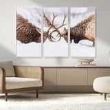 99240306-MGV-FC-48X32-3P_White-Elk Wall Art – Two Bull Elk Fighting in Snow Canvas Print, Rustic Wildlife Artwork for Cabin, Lodge, Western Farmhouse, Nature &