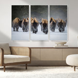 30332489-MGV-CV-36X24-Winter Bison Herd Wall Art – Powerful Buffalo Canvas Print, Rustic Wildlife Photography Decor for Farmhouse, Cabin, Lodge, Living